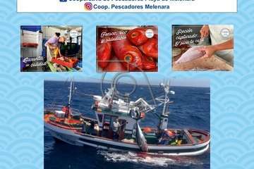 Programa de las fiestas de Melenara 2022/TA.